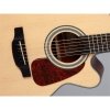 Takamine GN10CE NS